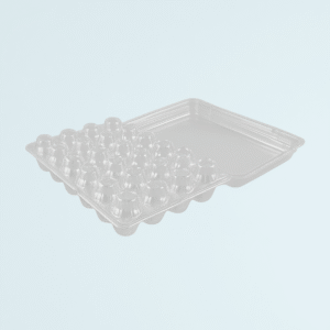 CAJA HUEVO CODORNIZ (24 HUEVOS)